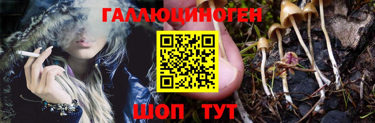 Галлюциногенные грибы мицелий  Вход с VPN  Галлюциногенные грибы GOLDEN TEACHER  Сызрань 